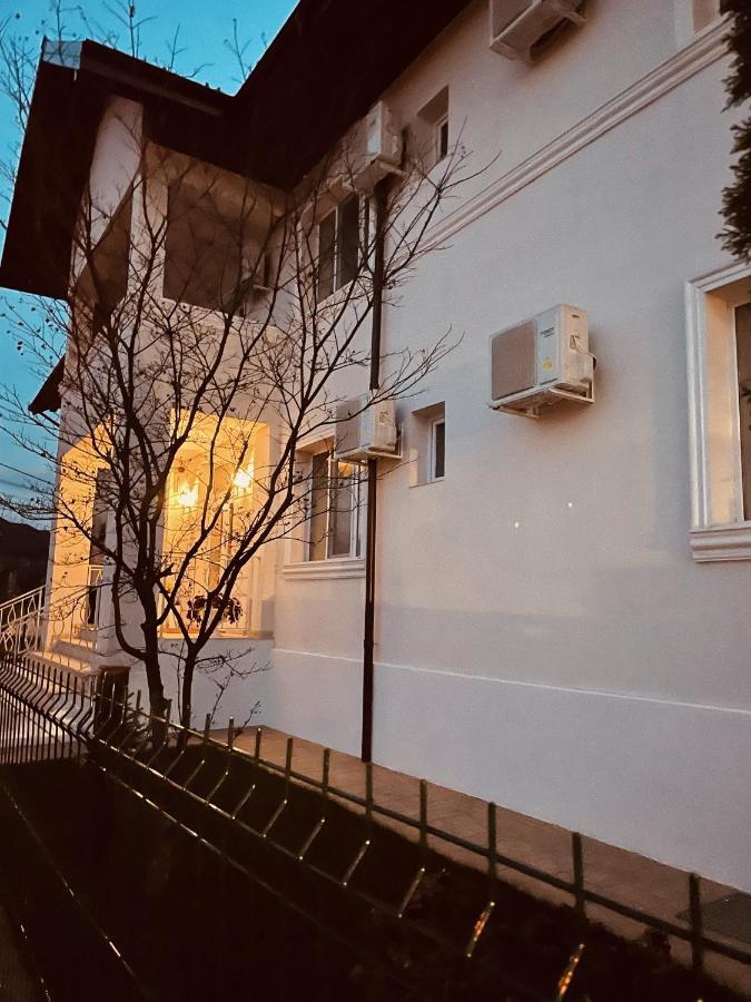 Cochet Boutique Hotel Zsilvásárhely Kültér fotó